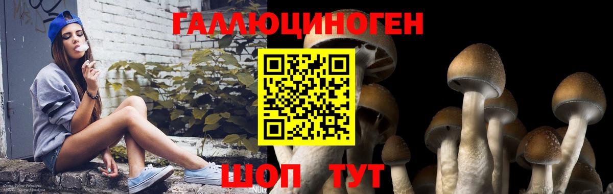 Галлюциногенные грибы Psilocybine cubensis  что такое наркотик  Мариинск  Вход с VPN 